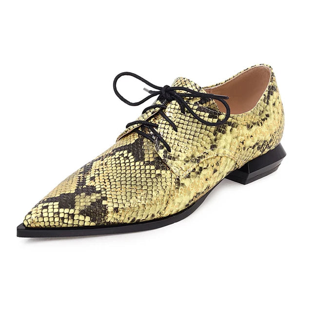 Women's shoes with low heels pointed toes and deep lace ups