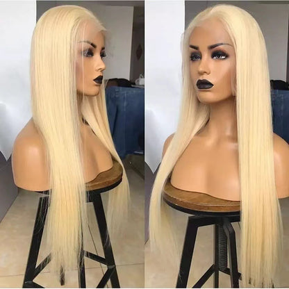 Lace Front Synthetic Wig Long Straight Hair with Air Bangs