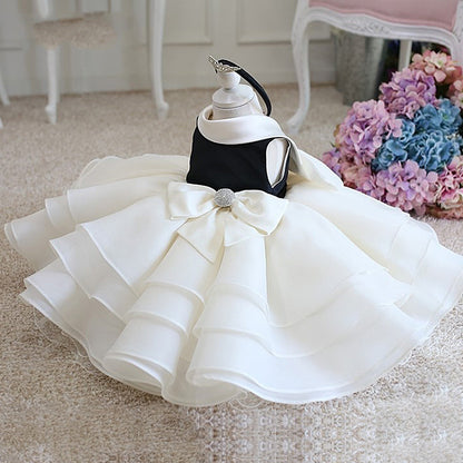 Meisjes Pettiskirt Prinsessenjurk