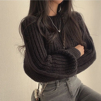 Womens Round Neck Knit Pullover Top