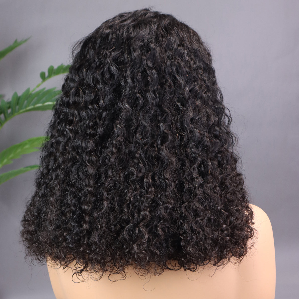 Front Lace Human Hair Wig