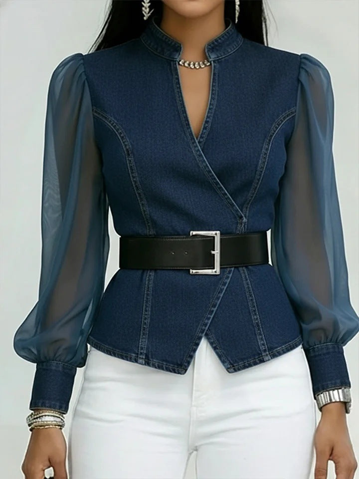Womens V-Neck Lace Long Sleeve Blouse
