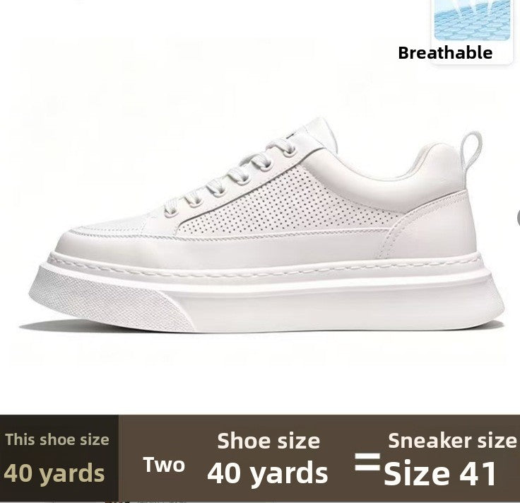 Mens Casual Sneakers