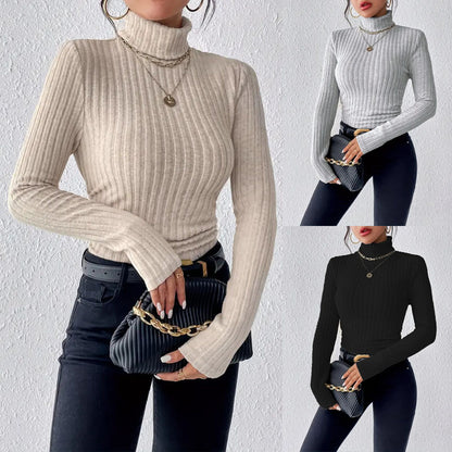 Womens High Neck Ribbed Knit Top