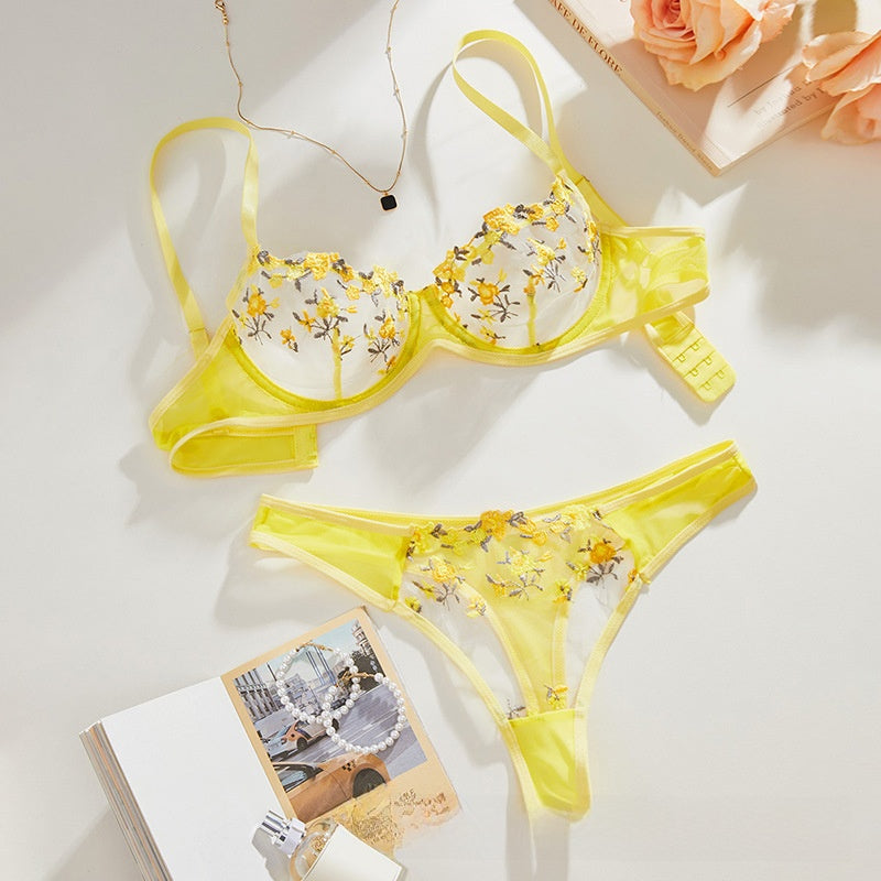Lace Mesh Lingerie Set