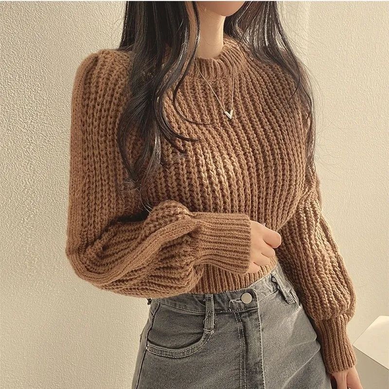 Womens Round Neck Knit Pullover Top