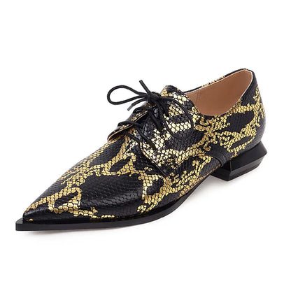 Women's shoes with low heels pointed toes and deep lace ups
