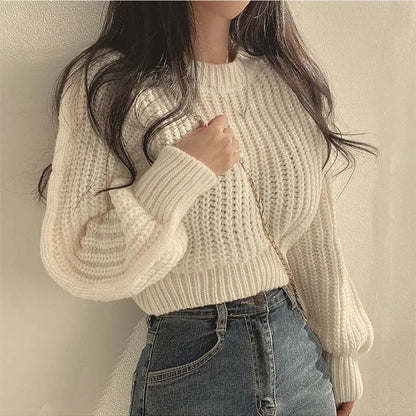 Womens Round Neck Knit Pullover Top