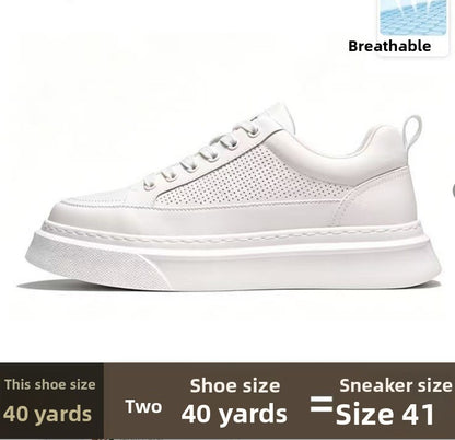 Mens Casual Sneakers