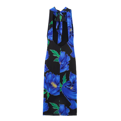 Women's Clothing Printed Draped Dress