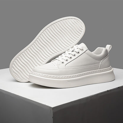 Mens Casual Sneakers