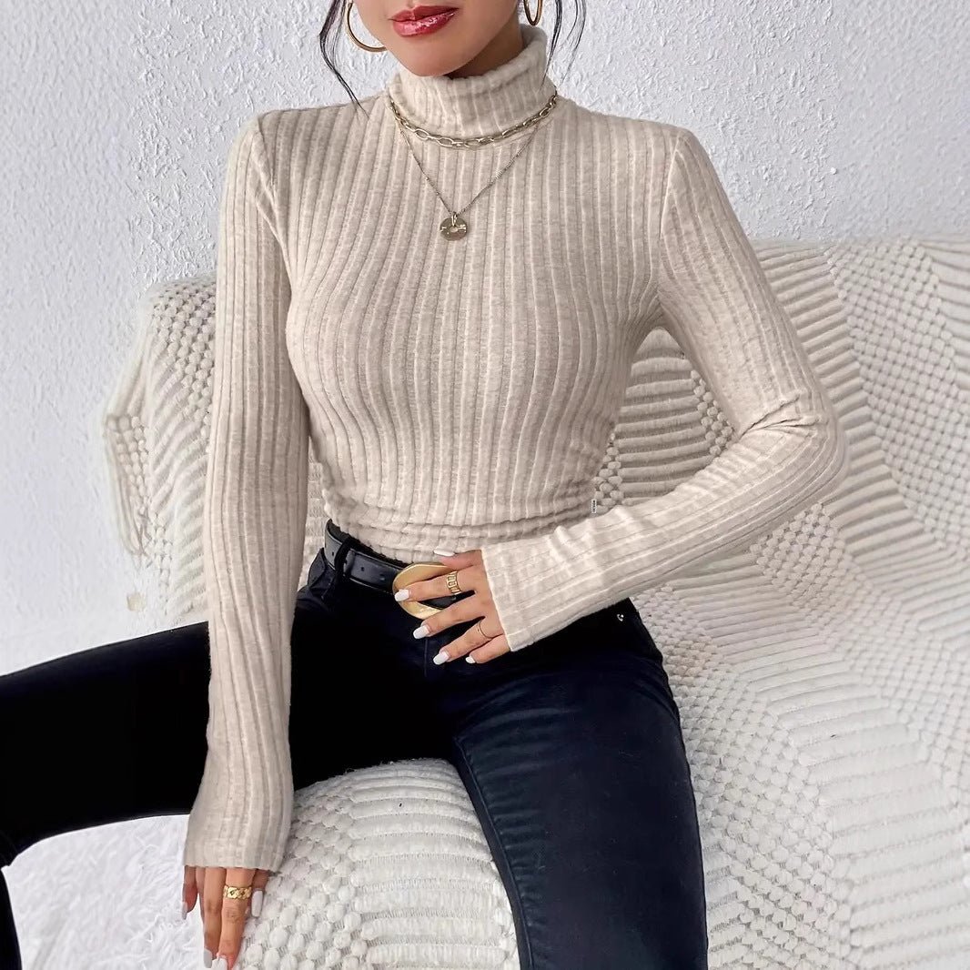 Womens High Neck Ribbed Knit Top