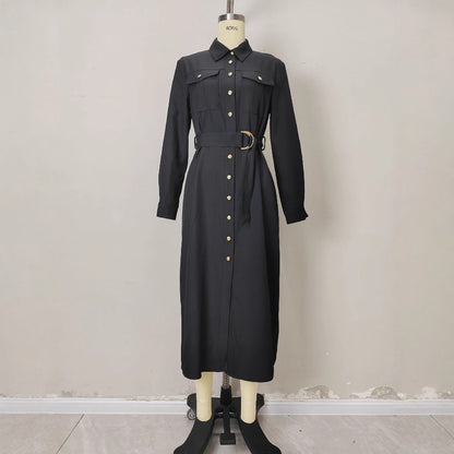Single row metal button shirt style dress