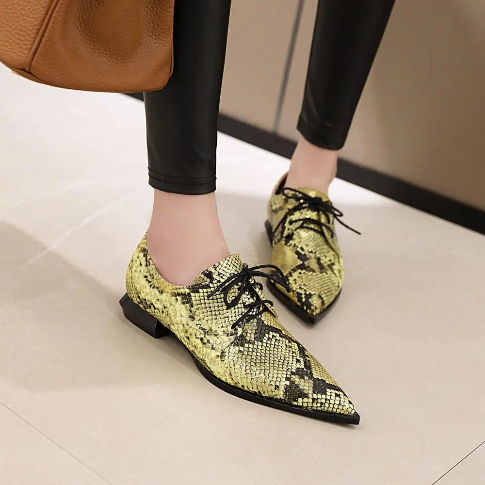 Women's shoes with low heels pointed toes and deep lace ups