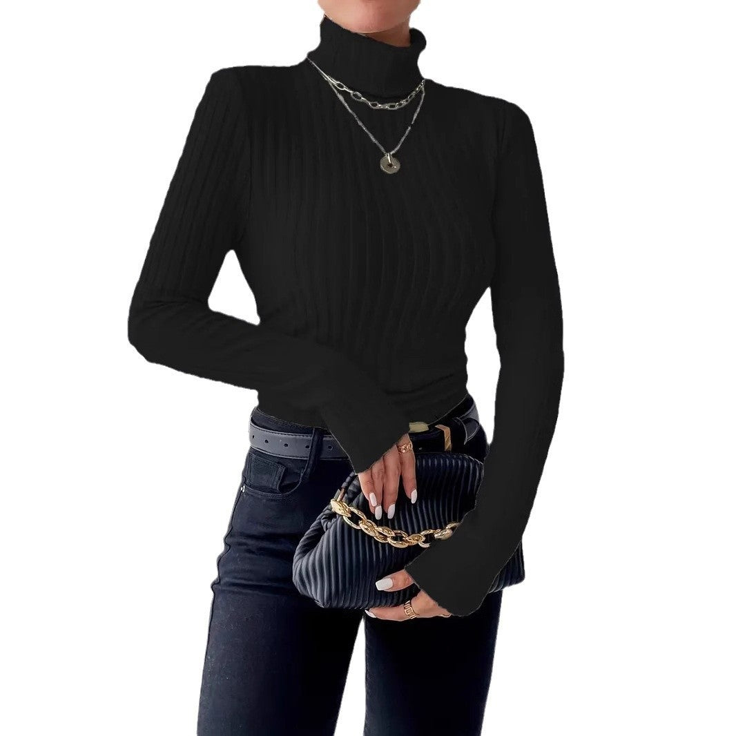 Womens High Neck Ribbed Knit Top