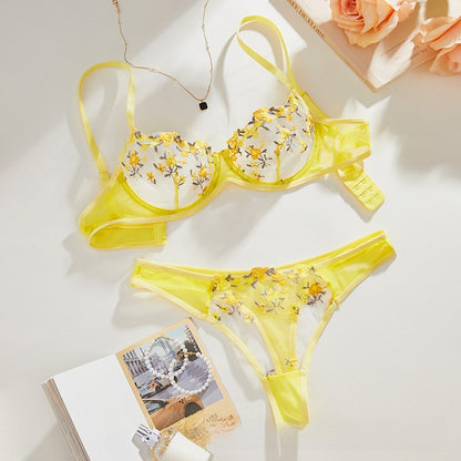 Lace Mesh Lingerie Set