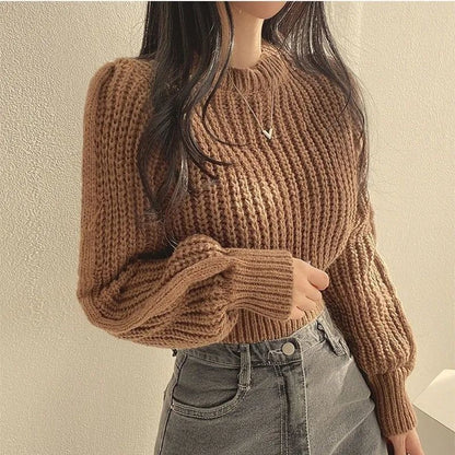 Womens Round Neck Knit Pullover Top