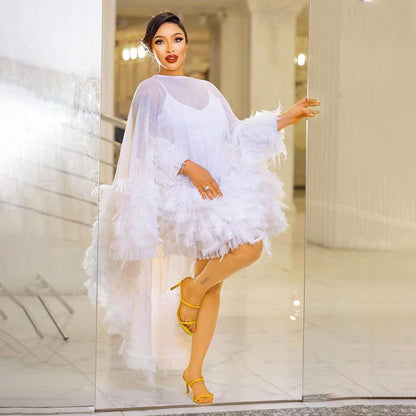 Elegant Mesh and Feather Dress