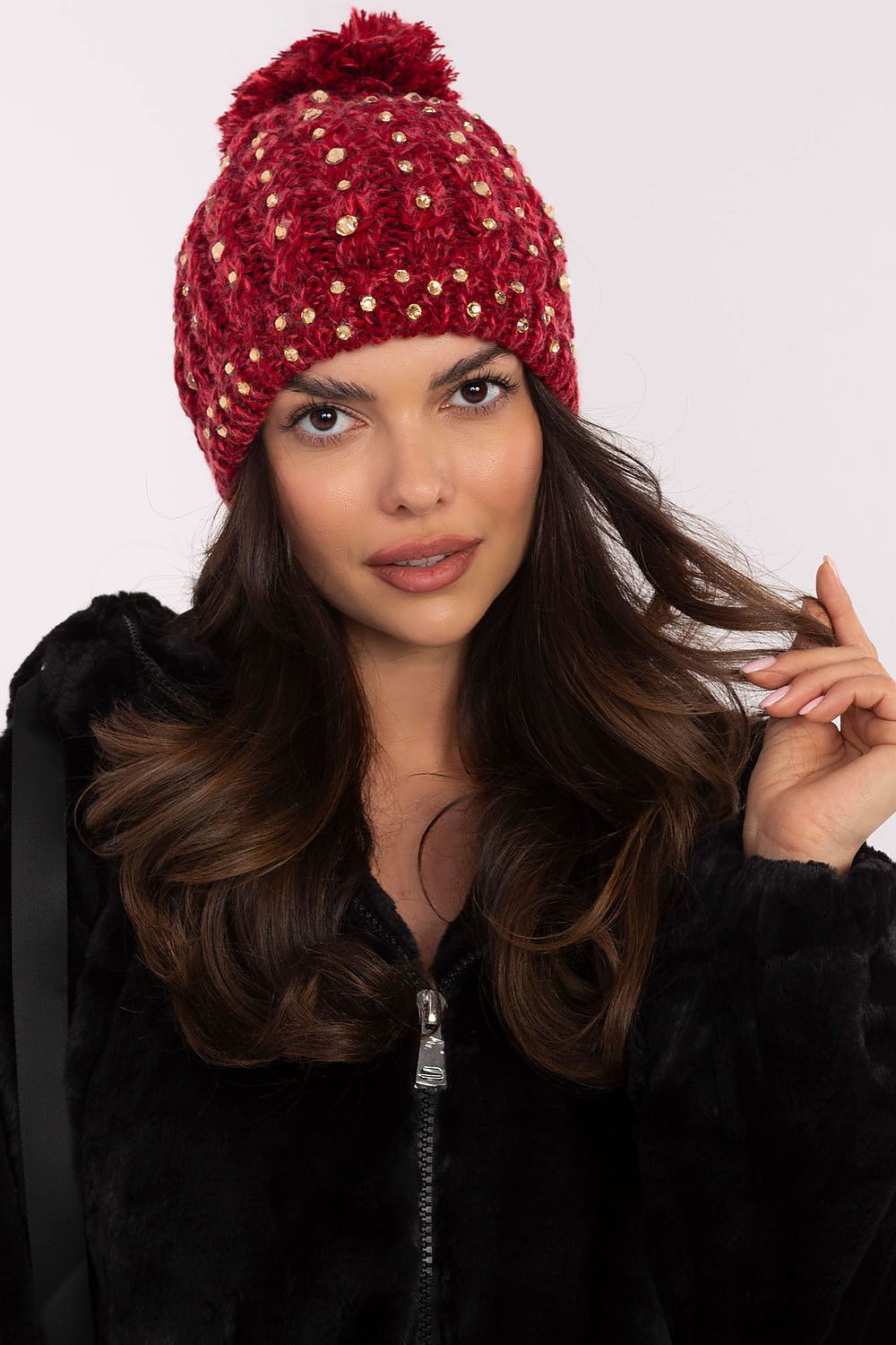  pet model 203845 AT 