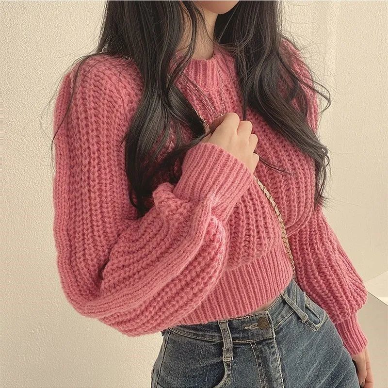 Womens Round Neck Knit Pullover Top
