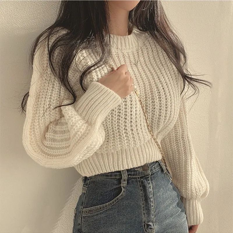 Womens Round Neck Knit Pullover Top