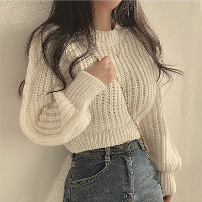 Womens Round Neck Knit Pullover Top