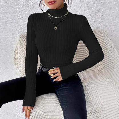 Womens High Neck Ribbed Knit Top