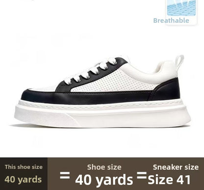 Mens Casual Sneakers