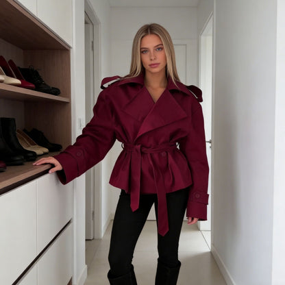 Women's Elegant Long Sleeve Dress